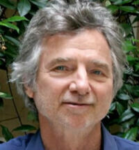 Curtis Hanson 24 mars 1945 - 20 septembre 2016